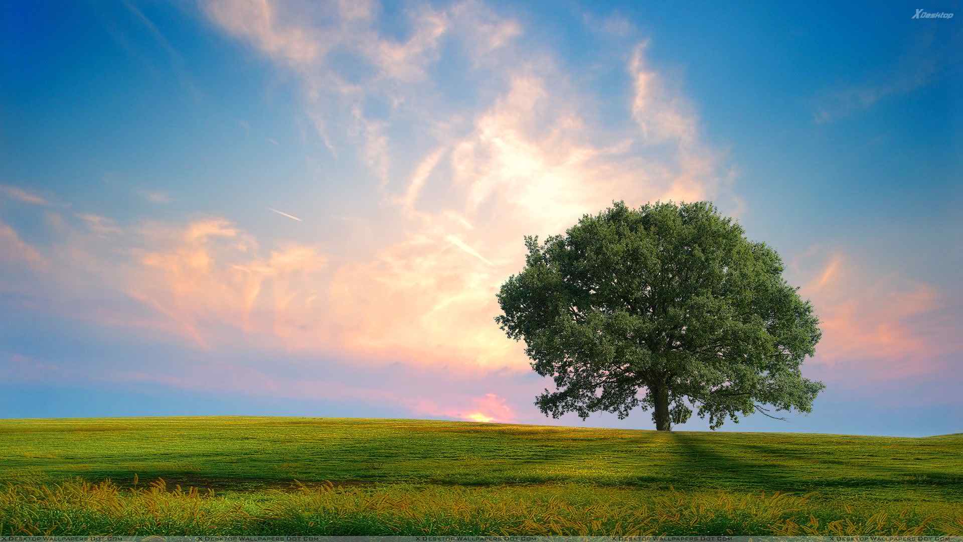 Green image